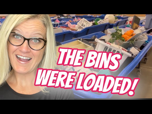 UNSEEN Footage from the Goodwill BINS Outlet #BINSBINGO