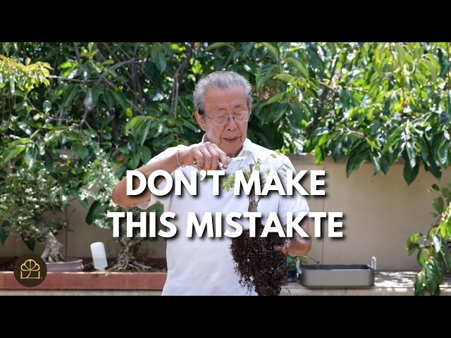 How to Start with a Vision for a Great Bonsai