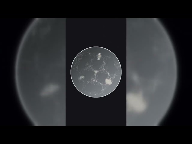 SYSTEM AWAKENING | Cinematic Chladni Visuals | VYRDAI MEDIA SYSTEM