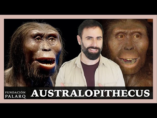 🔹 AUSTRALOPITHECUS | Las principales especies de homininos y etapas de la prehistoria