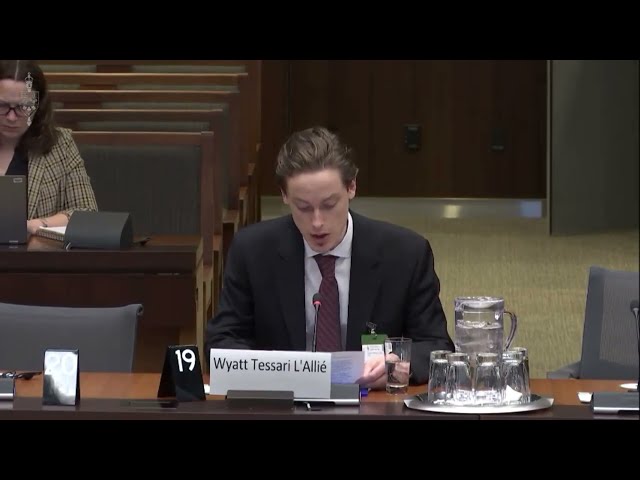 "A national security emergency" - Wyatt Tessari L'Allié on the emerging AI loss of control threat