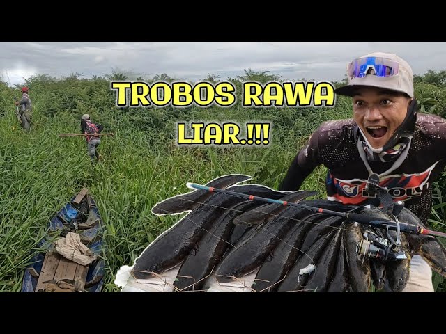 SWAMP ADVENTURE!! FULL STRIKE WILD GABUS