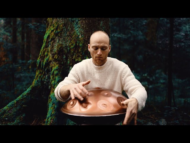 Secret of the Woods | 1 hour handpan music | Malte Marten