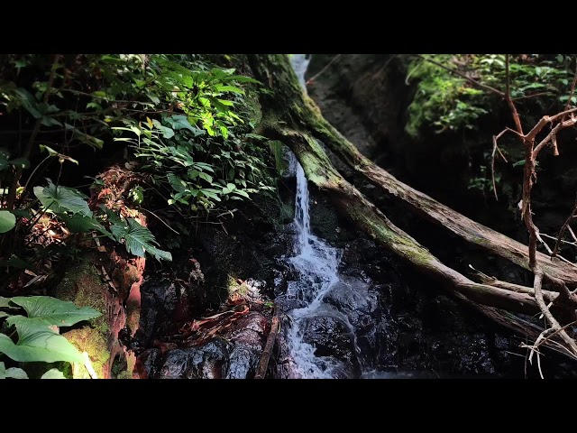 Relaxing Music, Sleep Music, Water Sounds, Meditation Music, Healing Piano for Tranquility and Peace