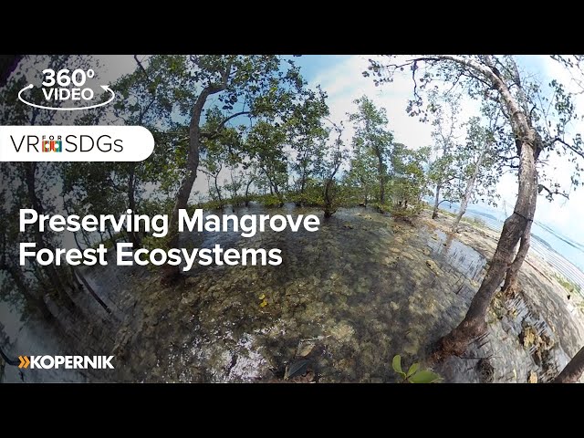Preserving Mangrove Forest Ecosystems