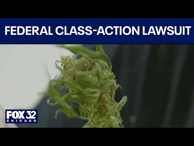 Lawsuit compares cannabis industry to Big Tobacco, targets 3 Chicago-based marijuana companies