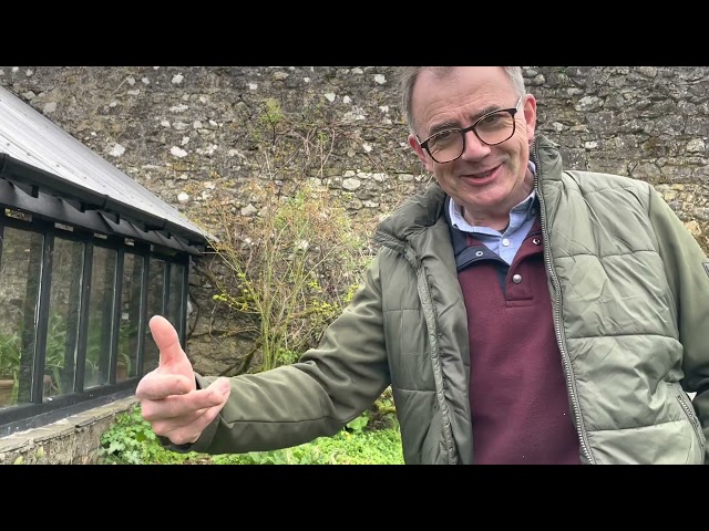 Primroses - Pat Fitzgerald explains names & history of plants he’s given me