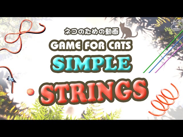GAME FOR CATS - SIMPLE - STRINGS 1 hour