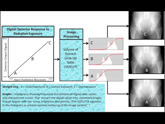 Medical Image Creation and Manipulation