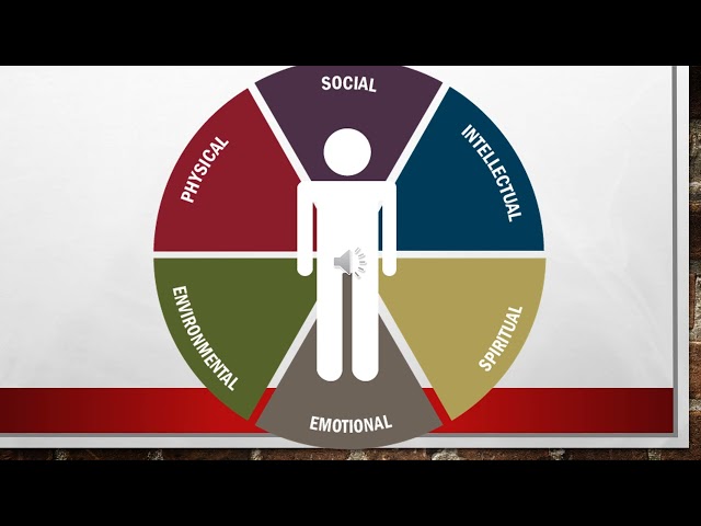 CRM 241: Reintegration with Society – A Mentally-Ill Offenders’ Struggles with Returning to the Norm