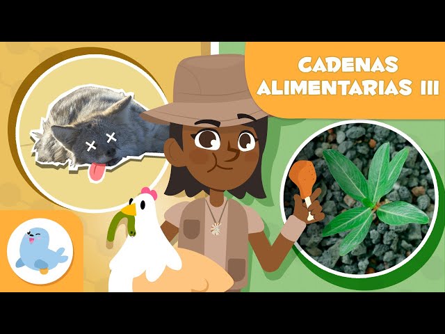 CADENAS ALIMENTARIAS para niños 🍃 Verdes y marrones 💩 Episodio 3