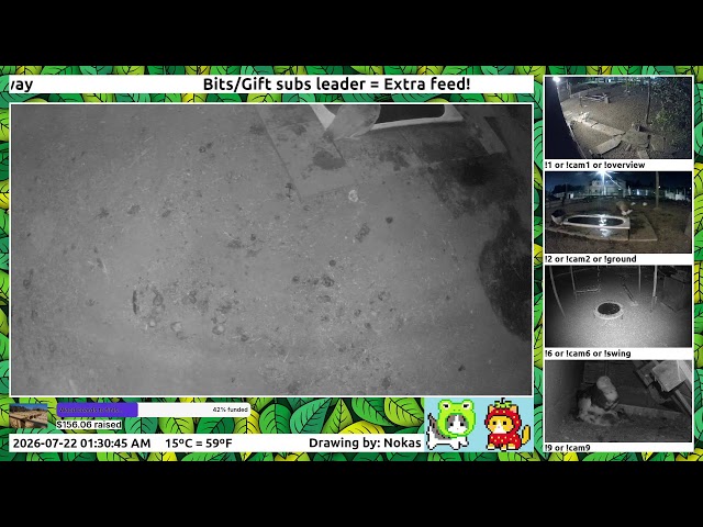 👀 Animals 24/7! Now on Youtube! 🥳 (feed on Twitch)