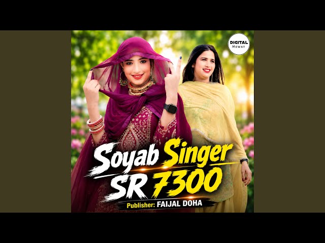 Soyab Singer SR 7300