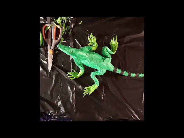 PaperBodi Tutorials: (SPEED) Iguana
