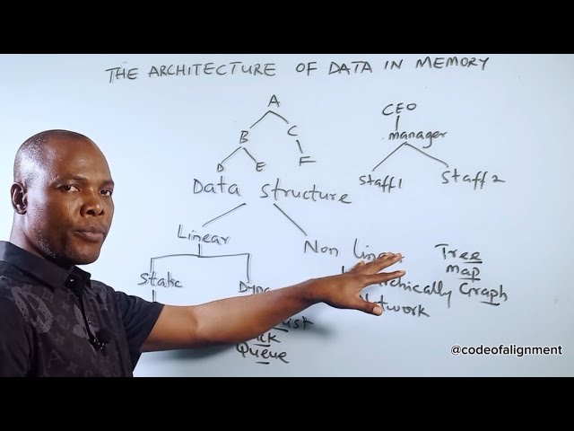 The Architect of Data in Memory: Linear and Non Linear Structures #DSA5 #codeofalignment #education 
