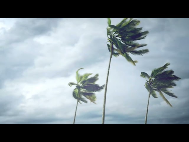 ARR'24: THE HOLY SPIRIT🔥