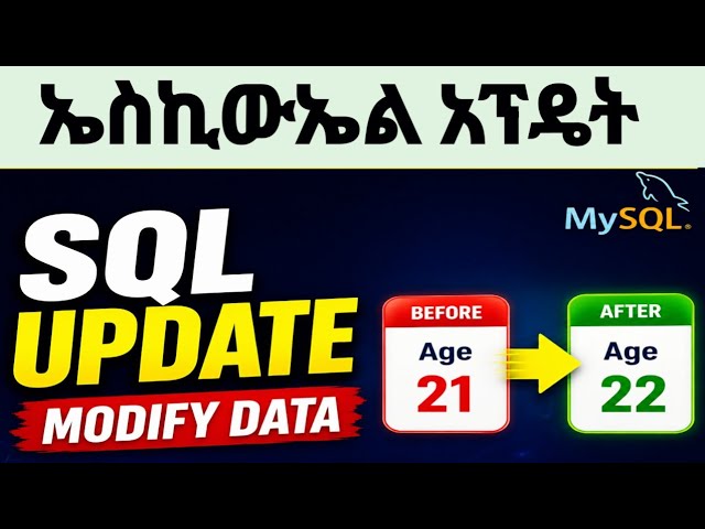 SQL UPDATE Explained | Modify Existing Data in MySQL/በአማርኛ