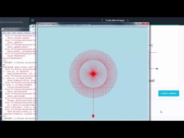Drawing a flower with turtle on python