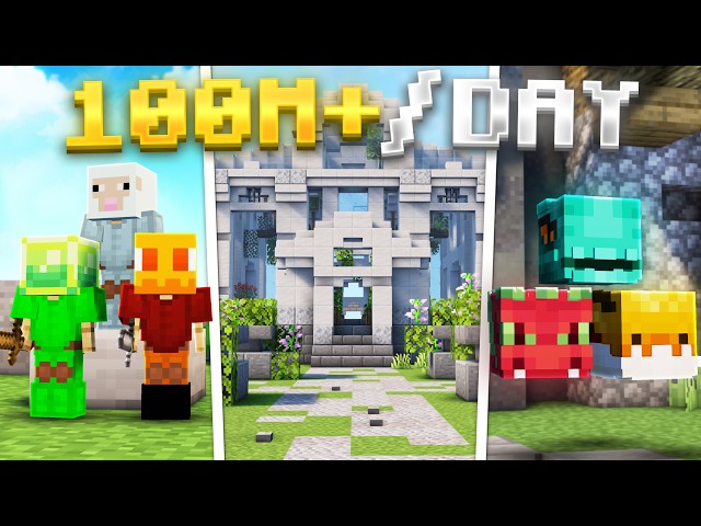 The BEST Passive Money Making Method Guide (Hypixel Skyblock)
