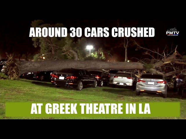 Stringers Live 🔴 Toppled Tree Injures Woman, Crushes Cars - Greek Theatre - @PMTVLA