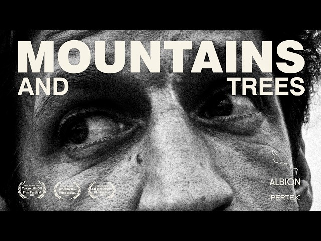 How The Mountain Races Changed Ultra Distance Racing | Mountains and Trees