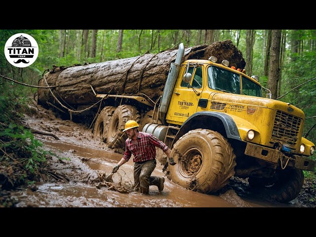 Extreme Dangerous Big Logging Wood Truck Driving Skill | Fastest Chainsaw Cutting Tree Machines #10