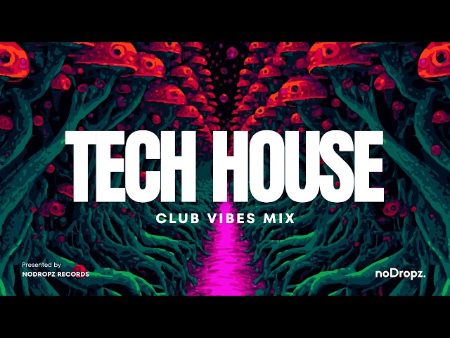 🔴 TECH HOUSE LIVE Club Vibes 2026 by noDropz | HIGH FREQUENCY |