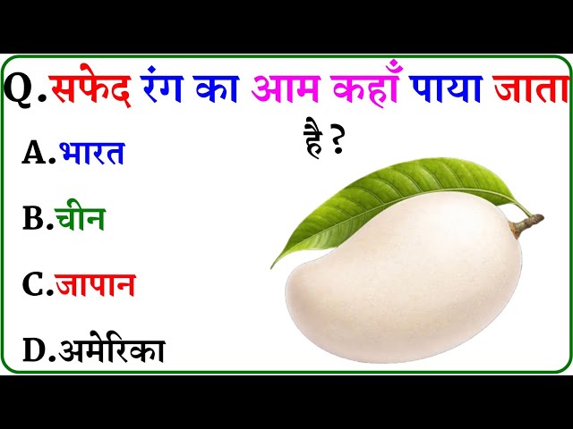 GK Question || GK In Hindi || GK Question and Answer || GK Quiz ||