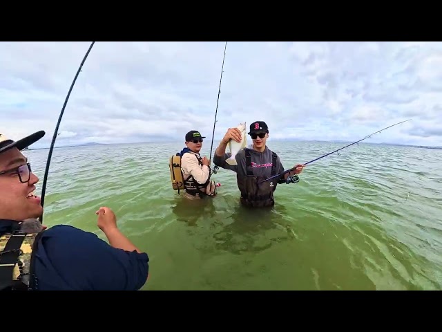 Bay Area Striper Fishing & San Francisco Bay Halibut Fishing | Subscriber Fishing Trip!
