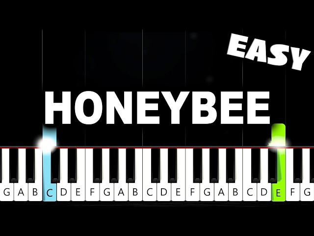 Olivia Rodrigo - honeybee - EASY Piano Tutorial