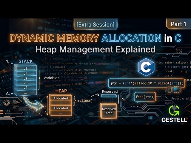 The Ultimate Guide to Dynamic Allocation | Data Structures Extra Session