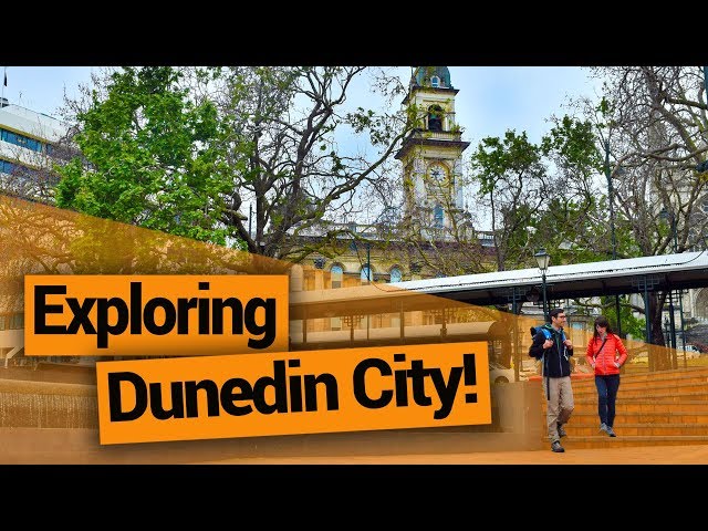 🗺️ Exploring Dunedin City  –  New Zealand's Biggest Gap Year – Backpacker Guide New Zealand