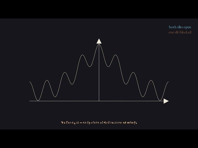 Double-Slit Interference Buildup