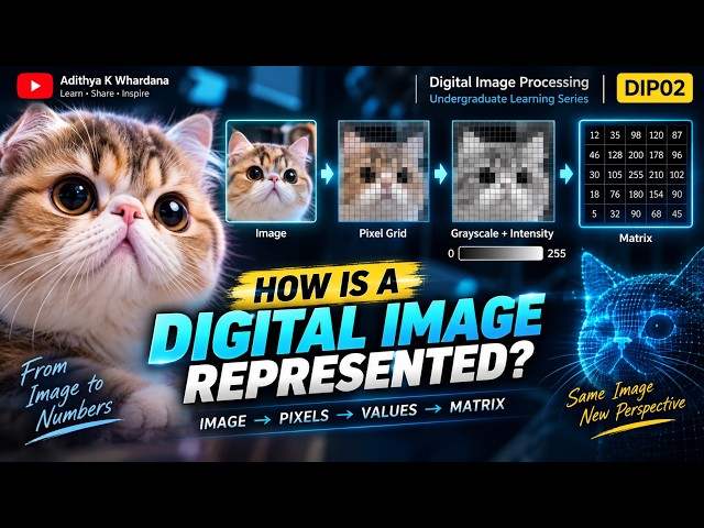 🐱 How does a computer actually represent a digital image?