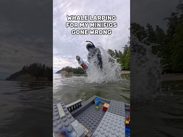 My minifigs weren’t too happy about this one #lego #legoboat #whale