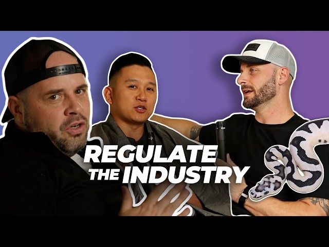 REGULATION in the Reptile Industry Needed? | #ballpython #snake #reptiles