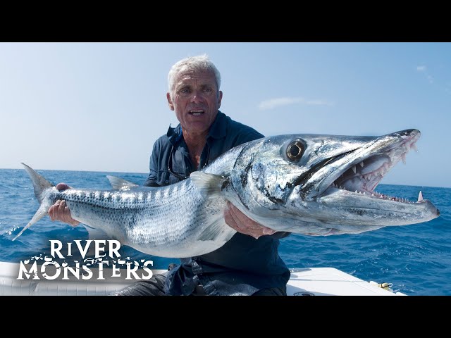 River Monsters Full Episode - Season 8, Episode 3 - Razorhead
