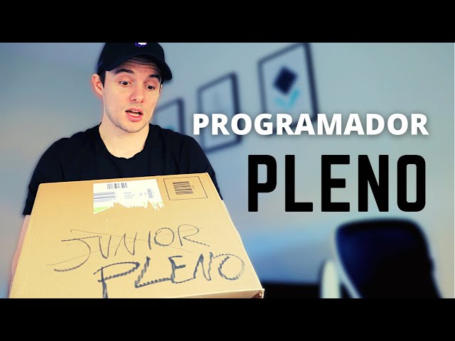 What do they expect from PLENO (in the Programming)?