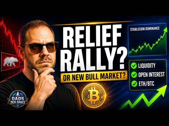 Relief Rally or Bull Market? Here's What the Data Actually Says