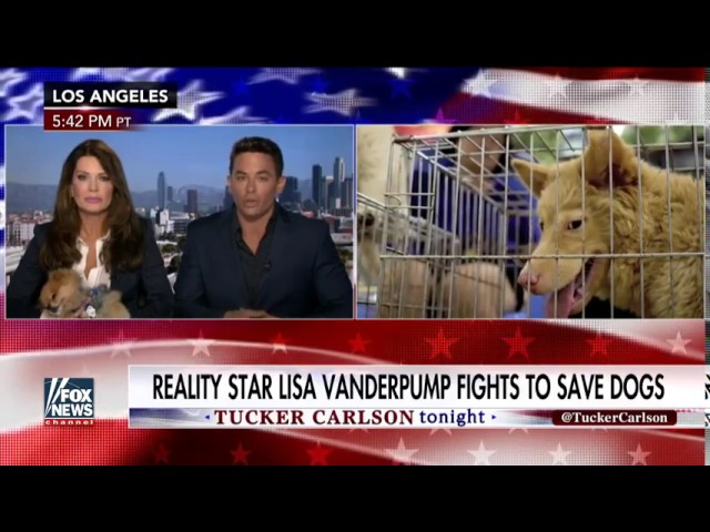 [ Tucker Porn ]   Lisa Vanderpump wants you to beware of dog meat festival