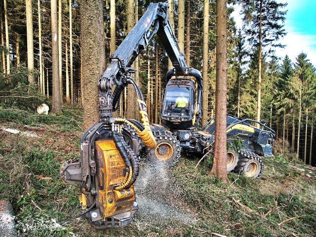 🌲4K|*KingLogger* • Ponsse ScorpionKing • fast logging • HarvesterAction • Forstbetrieb Hipp • Drone🌲