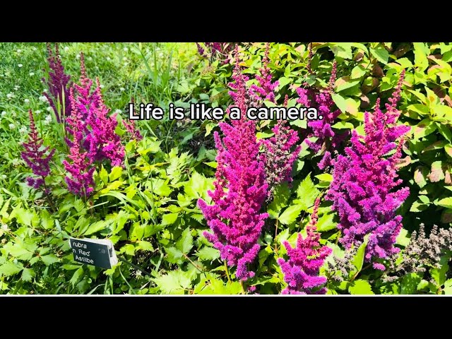 Knit with me today #camera #knitting #life #today #hobby #nature #camping 