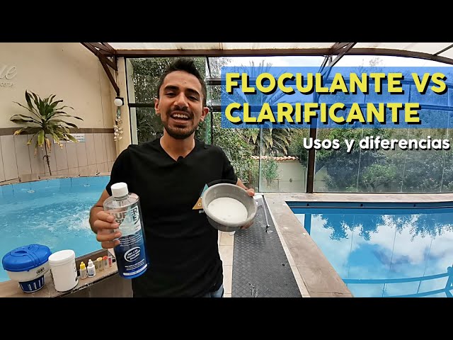 Flocculant vs. Clarifier (When to use each and their differences)