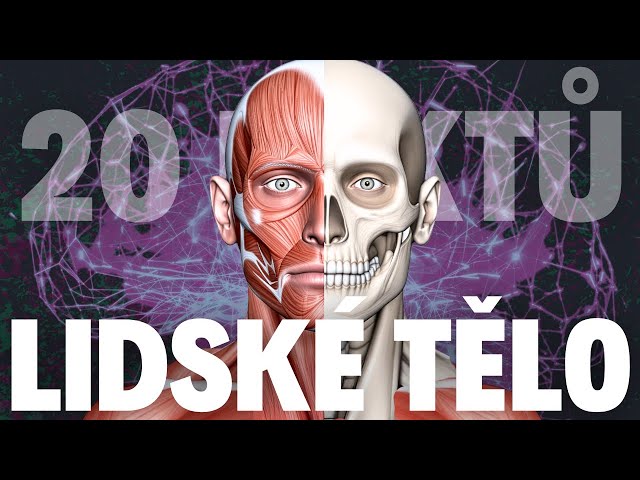 🤯Šílená fakta o Lidském Těle 2: Slyšíme vlastní oči? A jaké úložiště má mozek? #lidsketelo