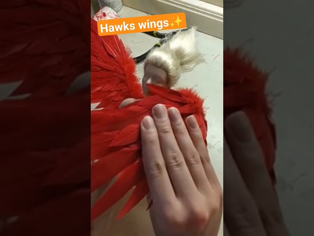 OOAK Doll Hawks! #ooak #mha #hawks #myheroacademia #repaint #wings #tutorial