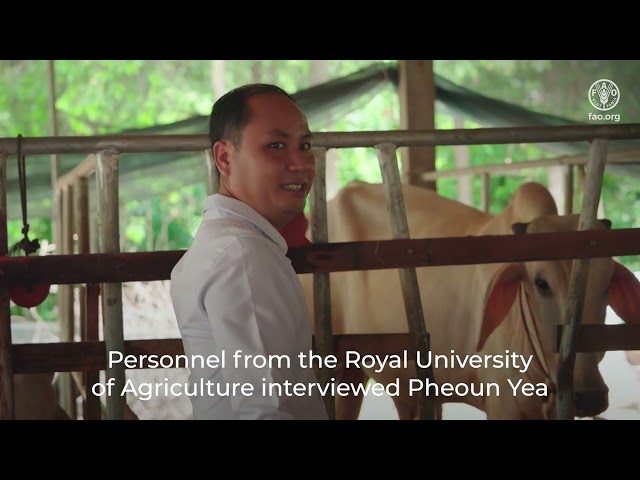 SCALA in Cambodia: Translating policy into action