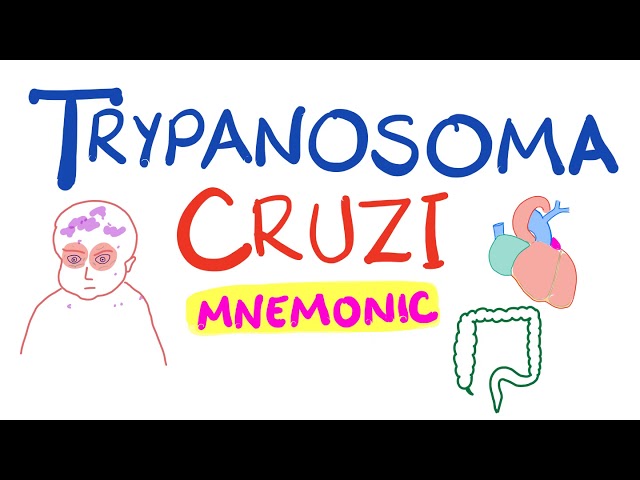 Trypanosoma Cruzi Mnemonic | Chagas Disease