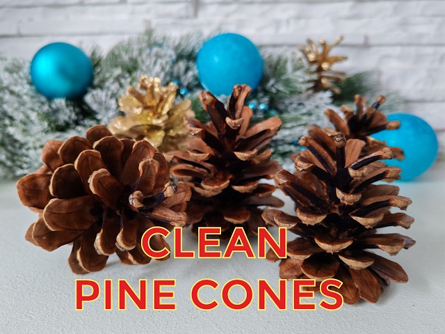 How to Clean Pine Cones Perfectly (Easy Tutorial)