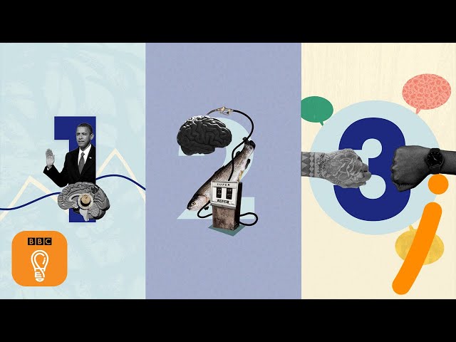 How to make better decisions | 3 quick tips | BBC Ideas