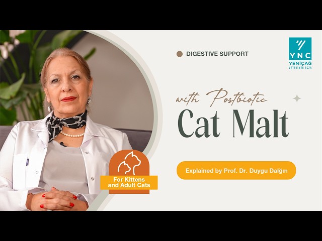 Hairballs in Cats | Hairball Cure Digestive Support – Prof. Dr. Duygu Dalğın
